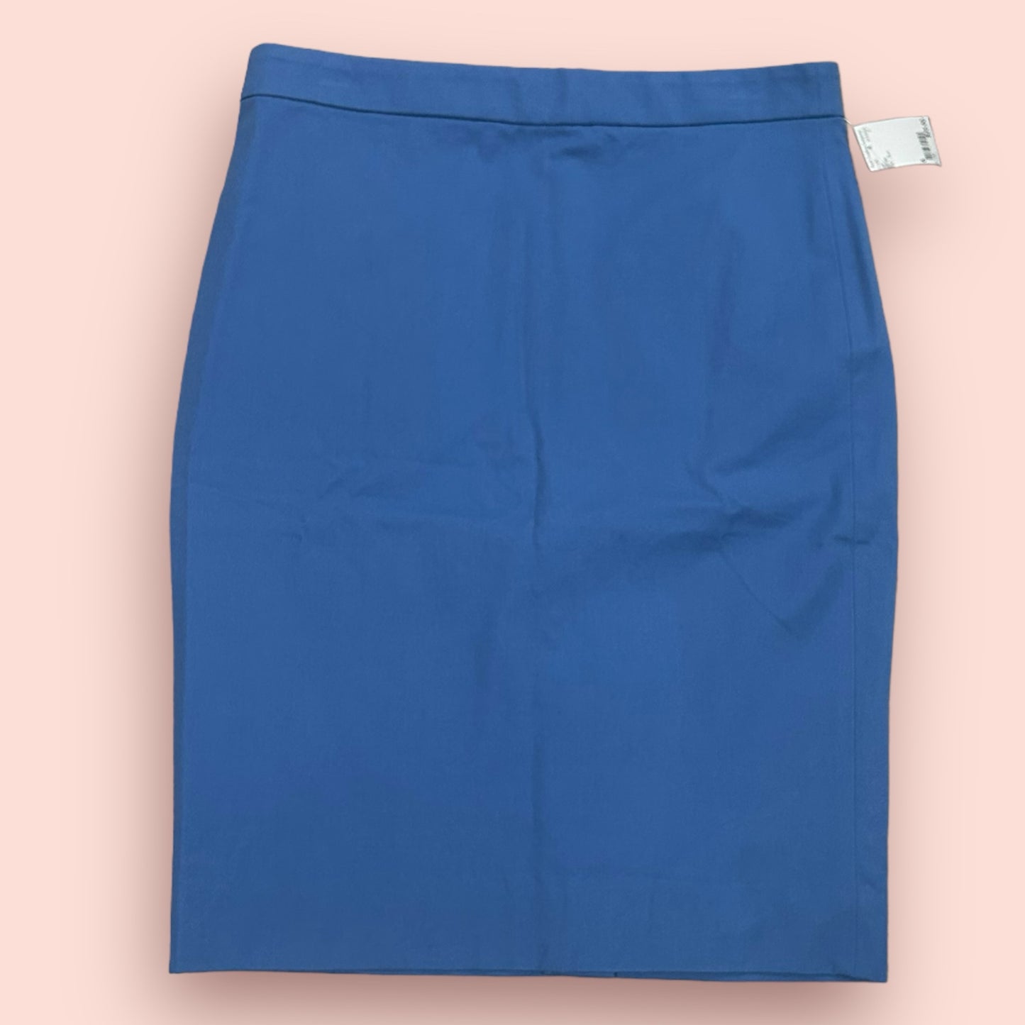 J. Crew Size 6 NWT Blue Skirt
